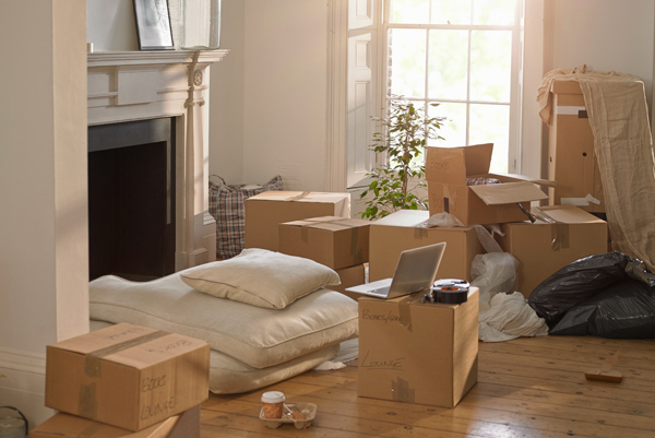 Bharat Packers and Movers 